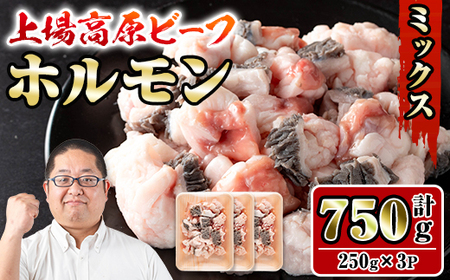 上場高原和牛 ミックスホルモン 750g 牛肉 ホルモン 【スーパーよしだ】 i1157