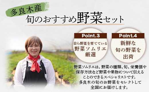 【定期便 3回】野菜ソムリエ監修 旬のおすすめ野菜セット ４〜5品