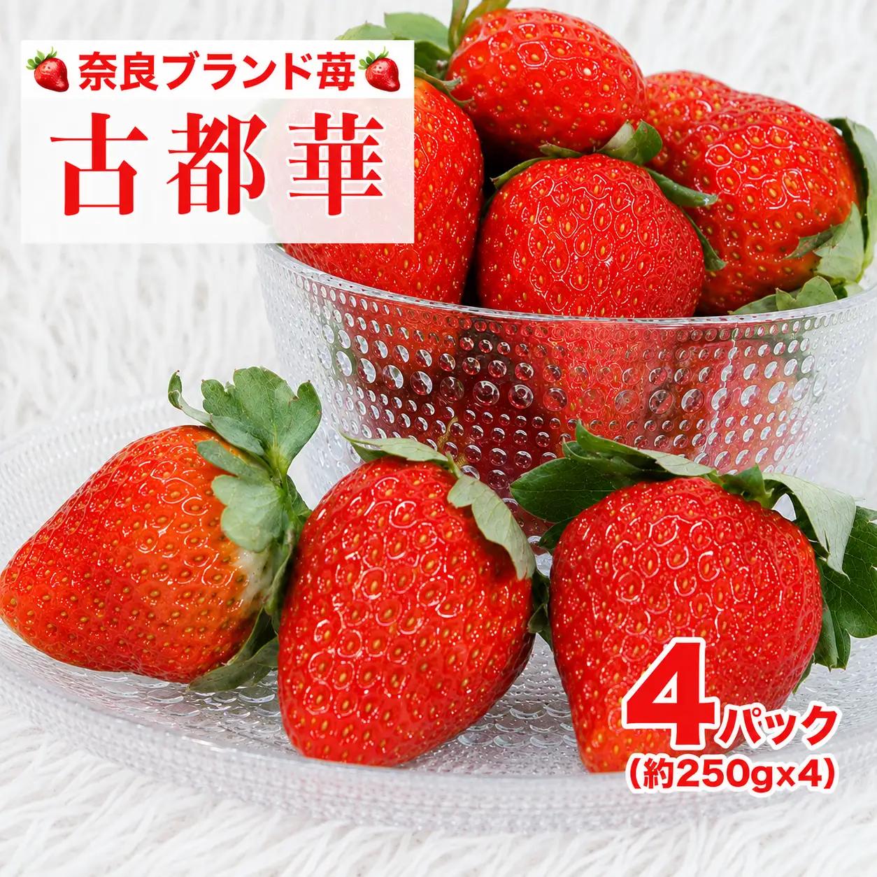 【先行予約】いちご 古都華 250g×４パック ことか いちご