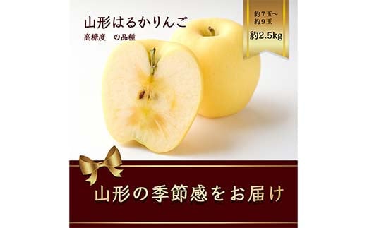 山形県産 はるかりんご 約2.5kg 7～9玉 高糖度のりんご FSY-2187