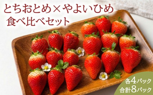 いちご 先行予約 とちおとめ やよいひめ 食べ比べセット 約 2kg (250g × 各4パック) 苺 ストロベリー 果物 フルーツ ジャム ケーキ いちご大福 ショートケーキ 期間限定 ふるさと納税 ふるさと納税いちご 冷蔵 strawberry 産地直送 くだもの ギフト プレゼント 贈答 ichigo itigo 送料無料 千葉県 銚子市 神原いちご園 【2027年1月~5月上旬発送】