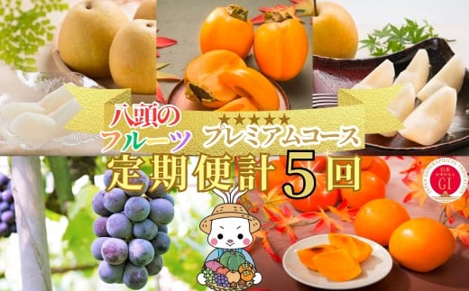 【2026年発送分】八頭のフルーツプレミアムコース【8月頃～12月/5回お届け】