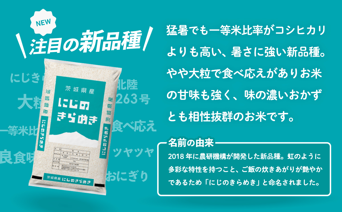 【スピード発送】にじのきらめき 20kg 令和7年産 新米 茨城県産 白米 精米 茨城県 お米 米 [SF396yai] 【スピード発送】にじのきらめき 20kg(5kg×4袋)