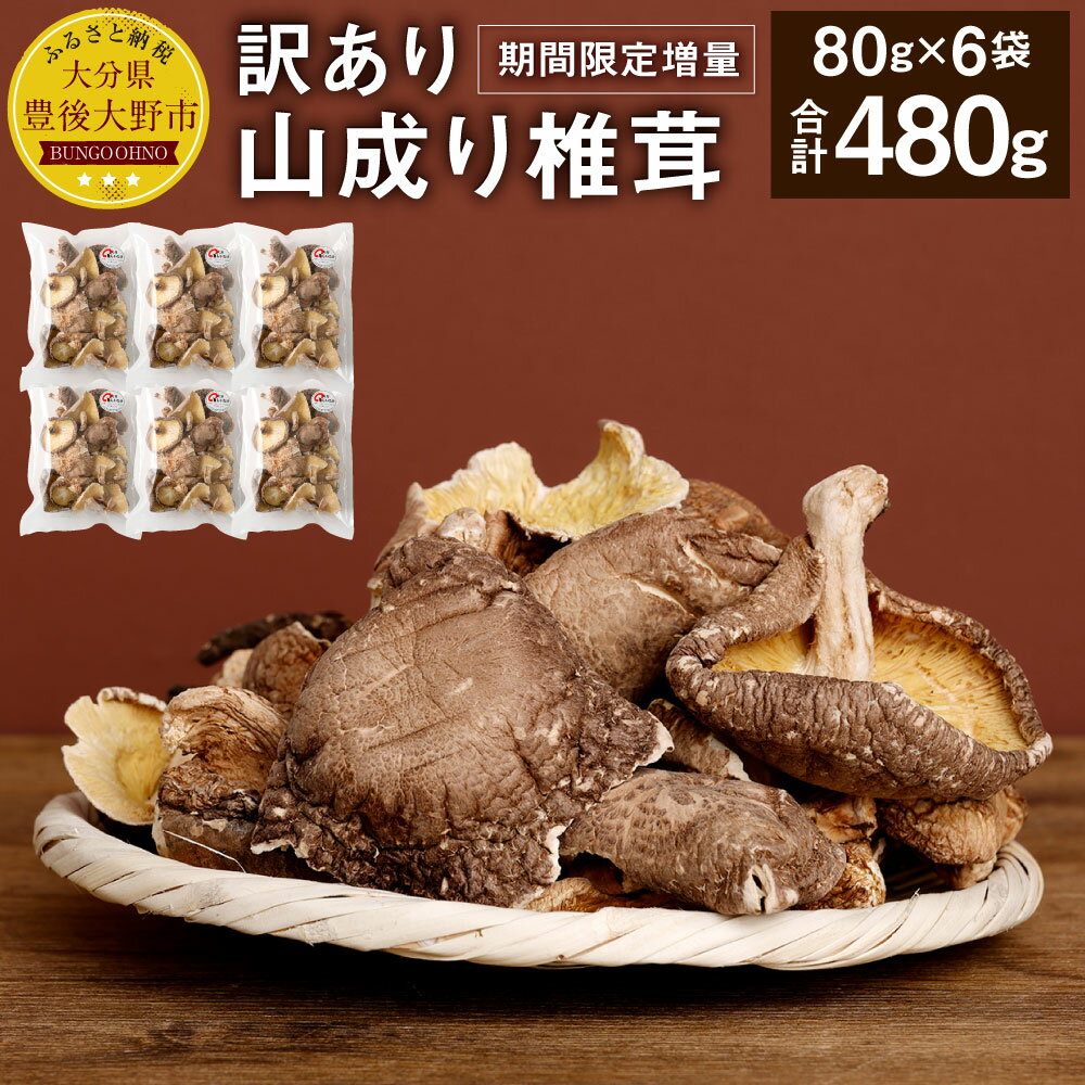 【ふるさと納税】【期間限定増量】 訳あり 山成り椎茸 計480g 80g×6袋 小分け 乾椎茸 乾しいたけ しいたけ 椎茸 国産 九州 大分 冷凍 送料無料 【2025年12月上旬から2026年1月下旬発送予定】
