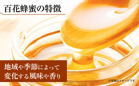 立山養蜂場 国産 百花 蜂蜜 500g はちみつ【一般社団法人クラッシーノこうし】[AYAB028]