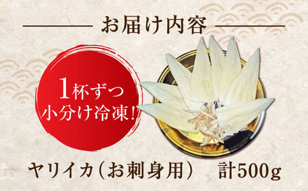 ヤリイカ お刺身用 500g 《対馬市》【海風商事】 小分け 刺身 いか イカ ヤリイカ 新鮮 海鮮 冷凍[WAD053]