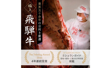 飛騨牛 サーロイン / リブロース 500g しゃぶしゃぶ