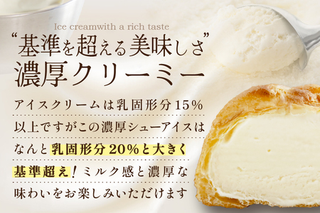 北海道 別海町 【12か月定期便】 BETSUKAI 濃厚 シューアイス 20個 セット【NSM120002】