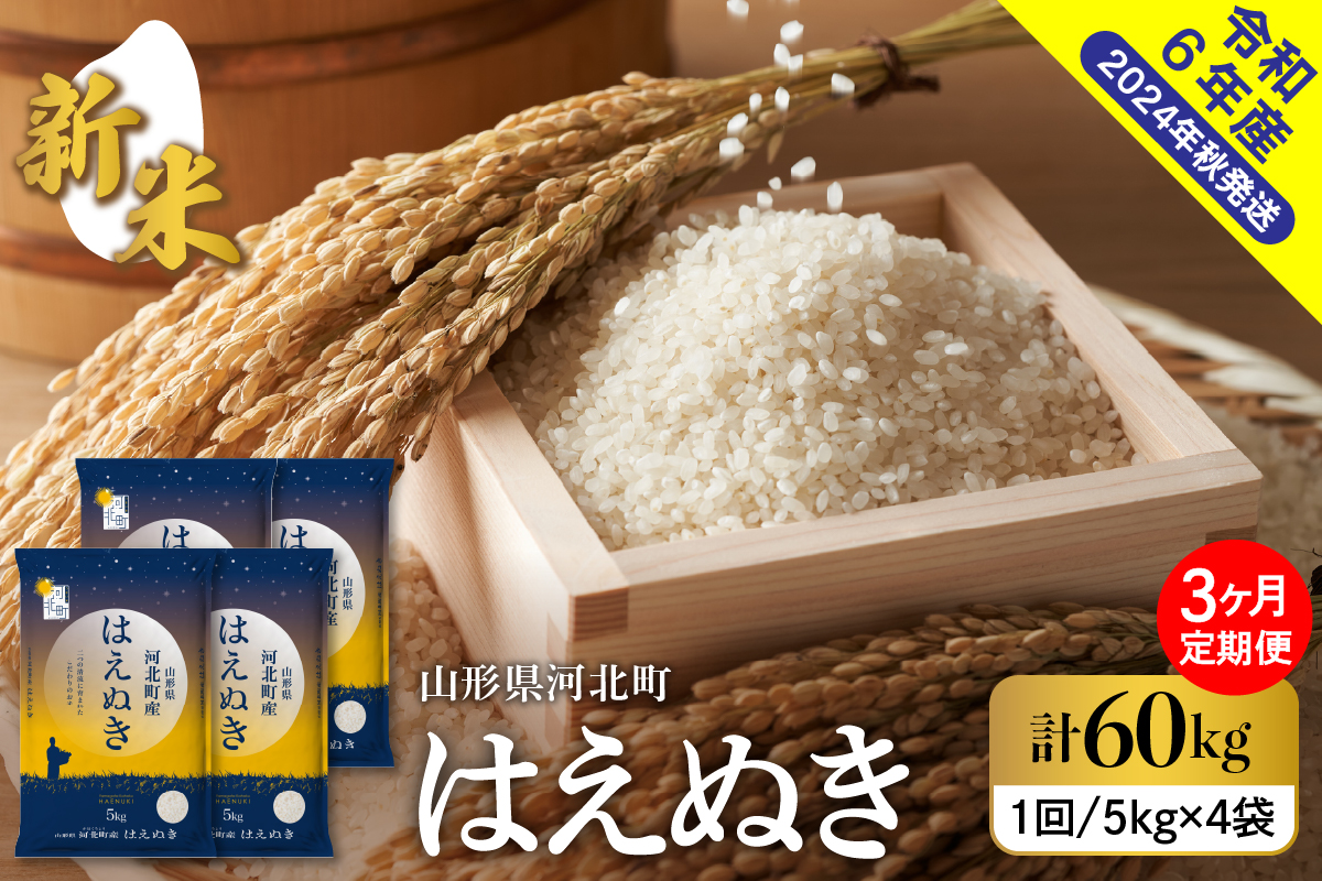 【令和6年産米】※2024年12月上旬スタート※ はえぬき60kg（20kg×3ヶ月）定期便 山形県産 【米COMEかほく協同組合】