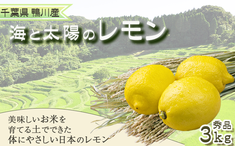 《11月発送》【皮まで食べられる】海と太陽のレモン【秀品】３kg（約25個） [0011-0057]