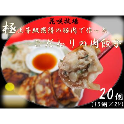 ふるさと納税 加須市 花咲牧場　極上等級獲得の豚肉で作ったこだわりの肉餃子20個(10個入×2パック)