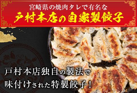 自家製 餃子 10個 × 12パック 計120個 惣菜 加工品 国産 おかず おつまみ お弁当 晩ご飯 簡単調理 食品 お肉 小分け やみつき おすそ分け お取り寄せ グルメ 冷凍 お土産 贈り物 プ