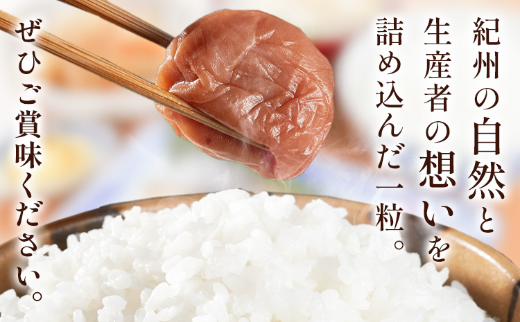 塩零梅 梅干し 紀州南高梅 食塩不使用 有限会社プラム 600g 《30日以内に出荷予定(土日祝除く)》和歌山県 日高町 送料無料 梅 うめ ウメ 南高梅 紀州 