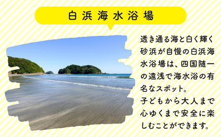 ジャンボスライダー利用券【KK006】