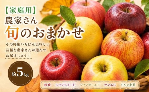 【家庭用】農家さん旬のおまかせ 約5kg【10月上旬～12月中旬頃にかけて順次発送予定】| 果物 くだもの フルーツ 林檎 りんご リンゴ 旬 おまかせ 果実 アップル 家庭用  秋映 シナノスイート シナノゴールド サンふじ ぐんま名月 長野県 塩尻市