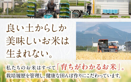【令和7年産新米】キヌヒカリ 10kg 白米 [AQDH004] きぬひかり 白米