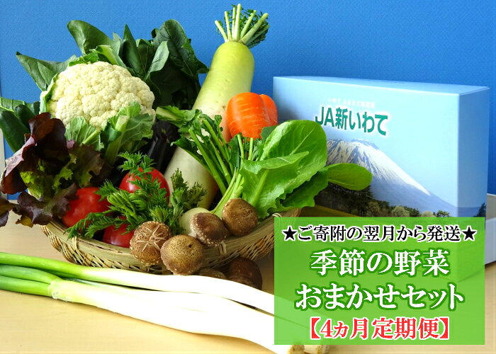 【ふるさと納税】【安全・安心・産直直送！】季節の野菜詰め合わせ（おまかせセット）【4ヵ月定期便】