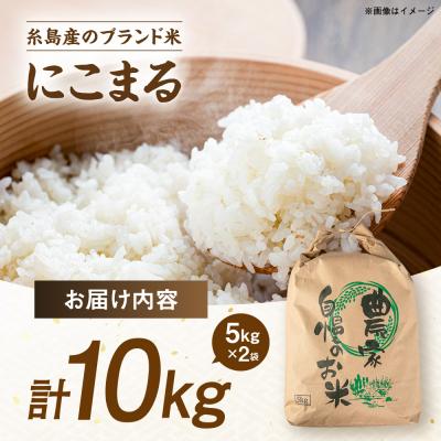 ふるさと納税 糸島市 【スピード発送】令和7年産 にこまる 玄米品質1等米 白米 10kg 糸島市産[AGR002] |  | 03