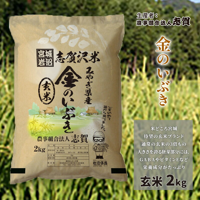 【ふるさと納税】玄米 金のいぶき 2kg 志賀沢米 岩沼産 お米 ブランド米 単一原料米 2キロ こめ コメ おこめ ご飯 ライス 玄米ごはん 玄米ご飯 きんのいぶき 金のいぶき玄米 東北 宮城県産 宮城米 宮城 宮城県 岩沼市　お届け：2025年10月上旬～2025年10月下旬