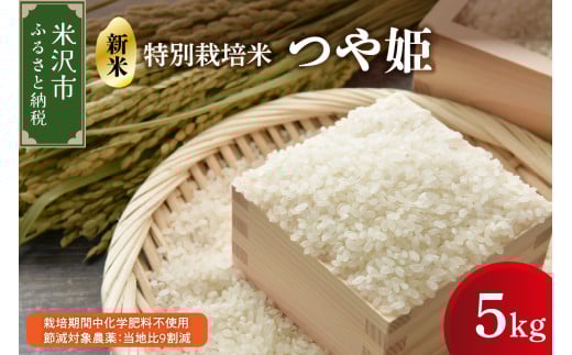 【 令和7年産 】 つや姫 5kg 特別栽培米 【栽培期間中化学肥料不使用・節減対象農薬：当地比9割減】 ブランド米 産地直送 2025年産