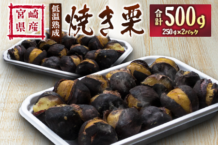 ＜2026出荷!!＞宮崎県産 低温熟成栗［焼き栗］計500g（250g×2パック）おやつ 秋の味覚 お取り寄せ【B617-26】