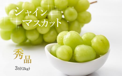 ジューシーな味わい シャインマスカット 秀品 3房 先行予約 ＜ 2025年8月下旬 頃より順次発送予定 ＞ ｜ フルーツ 果物 葡萄 ぶどう シャインマスカット 果実 糖度 甘い 期間限定 山口県 美祢市 美祢