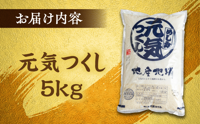 コメ 米 お米 白米 精米 福岡 九州