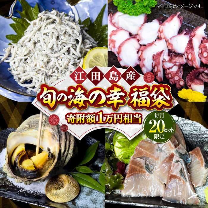 【ふるさと納税】【何が届くかお楽しみ】旬の海の幸 福袋 寄附額 1万円相当 海鮮 魚介類 冷凍 水産加工品 海藻 鮮魚 さかな 刺身 詰め合わせ セット 小分け 料理 和食 時短 便利 ギフト 広島県産 人気 送料無料 江田島市/七宝丸[XBY004] 【7日以内発送】