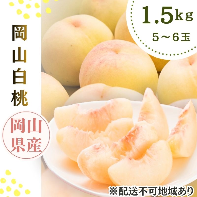 【ふるさと納税】2026年先行予約 岡山県産 白桃 岡山白桃1.5kg箱 5～6玉 桃 果物 もも フレッシュ ハレノフルーツ 　お届け：2026年7月10日～2026年8月31日