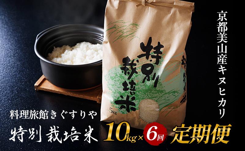 【先行予約】定期便 6回　料理旅館きぐすりや　令和7年産 　特別栽培米キヌヒカリ 10kg