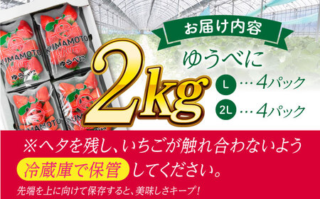 大粒いちご L?2L ゆうべに 2kg（8pc）【熊本ベリー】 熊本県産 くだもの イチゴ 苺 国産ゆうべにいちご 九州 [ZER002]