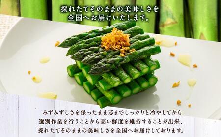 【先行予約】【夏アスパラ】美唄産グリーンアスパラガス雪蔵美人 Lサイズ 1kg （2024年7月中旬発送予定）｜ アスパラ