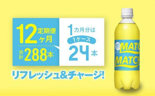 
【定期便全12回】マッチ（イエロー500mlペットボトル24本）計288本
