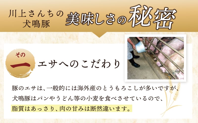 【泉佐野ブランド豚】犬鳴豚 ロースステーキ  カツ用 800g以上＋犬鳴豚餃子 6個【国産 豚肉 工場直送 ぶた とんかつ ステーキ 期間限定 数量限定】 G1380