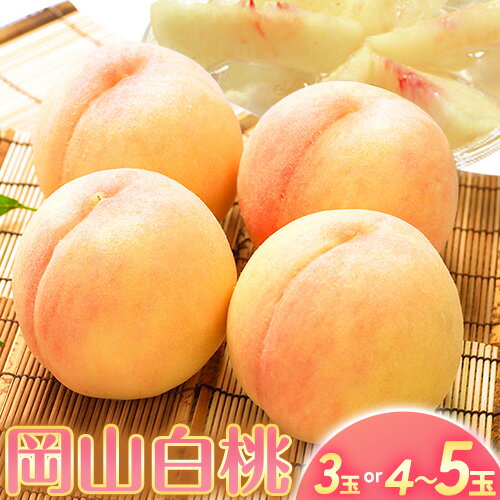 【ふるさと納税】【2026年先行予約】桃 もも 岡山白桃 3玉 800g以上 4~5玉 約1kg 岡山県産 環山堂株式会社《2026年7月上旬-8月上旬頃より発送予定》岡山県 浅口市 白桃 果物 フルーツ 送料無料