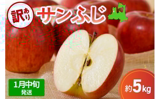 【先行受付】【2026年1月中旬発送】【訳あり】 りんご 5kg サンふじ 青森