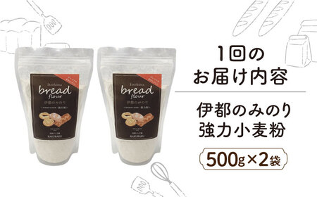 【全3回定期便】特別栽培 小麦 使用 伊都 の みのり( 500g × 2袋 )糸島市 / 天然パン工房楽楽【いとしまごころ】 [AVC066]