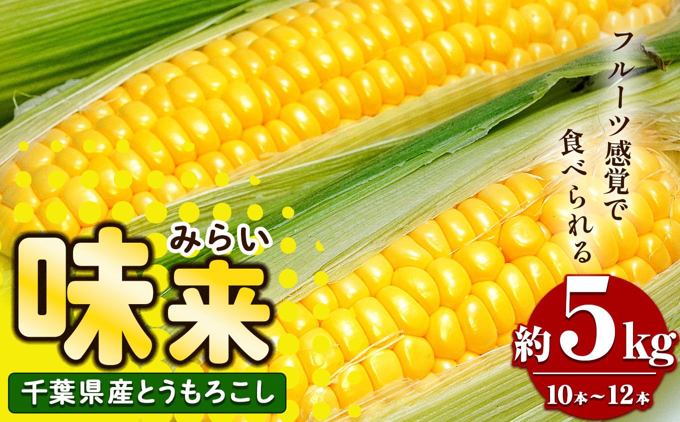 
            農家直送 とうもろこし 味来  約 5㎏（ 10 ～ 12 本）7月上旬から順次発送 | 高糖度  ベテラン農家 こだわり プロ 野菜 とうもろこし スイートコーン コーン トウモロコシ 里菜ファーム 新鮮 朝採り 千葉 君津 きみつ
          