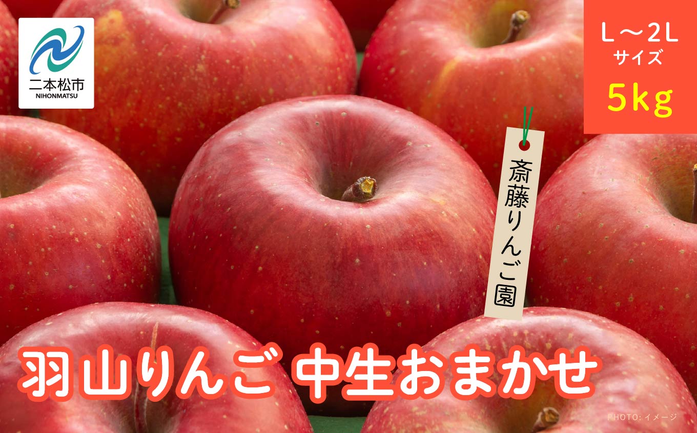 《2025年10月以降順次発送》羽山のりんご　中生おまかせL?2Lサイズ5kg【斎藤りんご園】