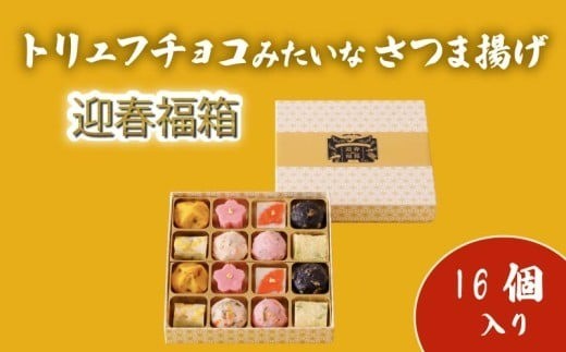トリュフチョコみたいなさつま揚げ 年末限定版　A:16個入り