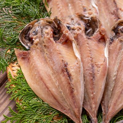 ふるさと納税 松浦市 松浦・潮風のたより　アジ昆布出汁10枚入り |  | 01