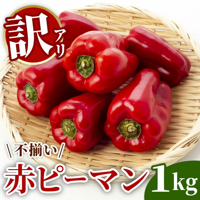 【ふるさと納税】先行予約 訳あり ふぞろい赤ピーマン 1kg 野菜 農家直送 ふるさと納税 炒め物 肉詰め 回鍋肉 ホイコーロー 栄養豊富 9月〜発送 送料無料 岩手県 一関市