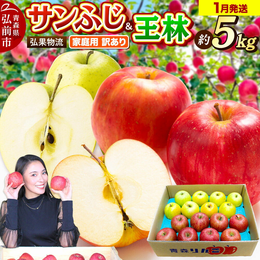 【ふるさと納税】【27年1月発送】りんご 家庭用 訳あり サンふじ・王林 詰め合わせ 約5kg [アップル おいしい ふじ りんご 王林 黄色 果実 果物 詰め合わせ 詰合 赤色 美味 林檎]