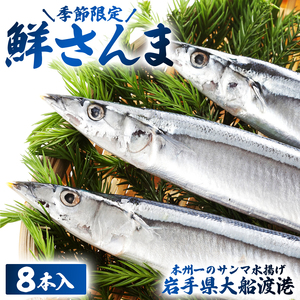 期間限定 鮮 さんま 8本入 (1尾 100g~120g) ＼ さんま ／