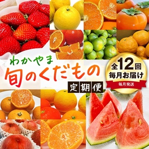【旬のくだもの定期便】和歌山県の旬のフルーツを毎月お届け！　全12回【Ｓ】（配送日時指定不可）※北海道・沖縄・離島への配送不可 / 定期便 フルーツ みかん いちご イチゴ セミノール 河内晩柑 すいか 桃 柿 ジュース 12回 【ard-tkb901A】