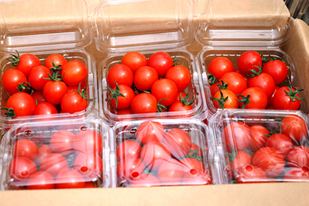 【朝どり直送】高糖度ミニトマト「宝玉丸」200g×12パック 計2.4kg