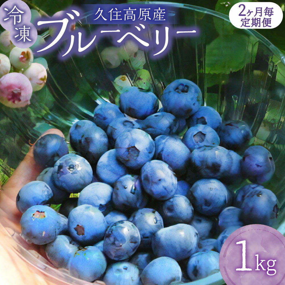 【ふるさと納税】【選べる定期便】冷凍 ブルーベリー 約1kg 栽培期間中 農薬不使用 手摘み 新鮮 ジャム スムージー ヨーグルト フルーツ 果物 特産品 特産 名産 国産 九州 大分県 竹田市 久住高原産 送料無料【2025年7月下旬より順次発送開始予定】