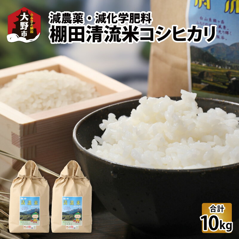 【ふるさと納税】【先行予約】【令和7年産 新米】名水の里越前大野の棚田清流米コシヒカリ5kg×2袋 減農薬 減化学肥料【10月より順次発送】[B-011002]|こしひかり 農薬いらず 合計10kg 国産 送料無料