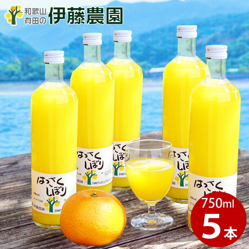 【ふるさと納税】伊藤農園100％ピュアジュースはっさくしぼり750ml×5本（A607-2）ふるさと納税 ジュース みかんジュース みかん オレンジジュース