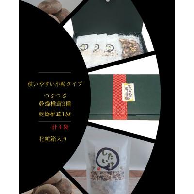 ふるさと納税 愛西市 乾燥椎茸&amp;つぶつぶ乾燥しいたけ3種 【ちいさなキノコ園】 国産